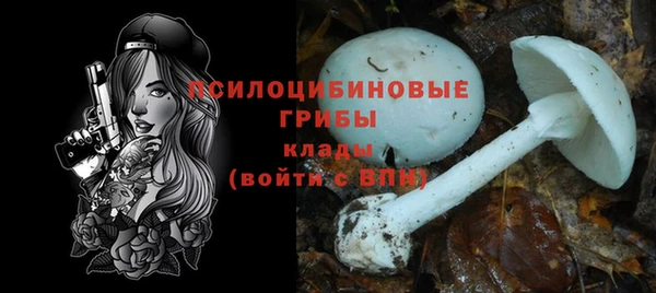 скорость Алзамай