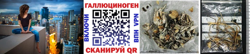 где купить   Всеволожск  OMG маркетплейс  Псилоцибиновые грибы прущие грибы 