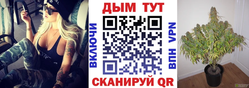 как найти закладки Всеволожск МАРИХУАНА SATIVA & INDICA